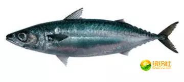 舟山海鲜代加工攻略,最全舟山海鲜攻略