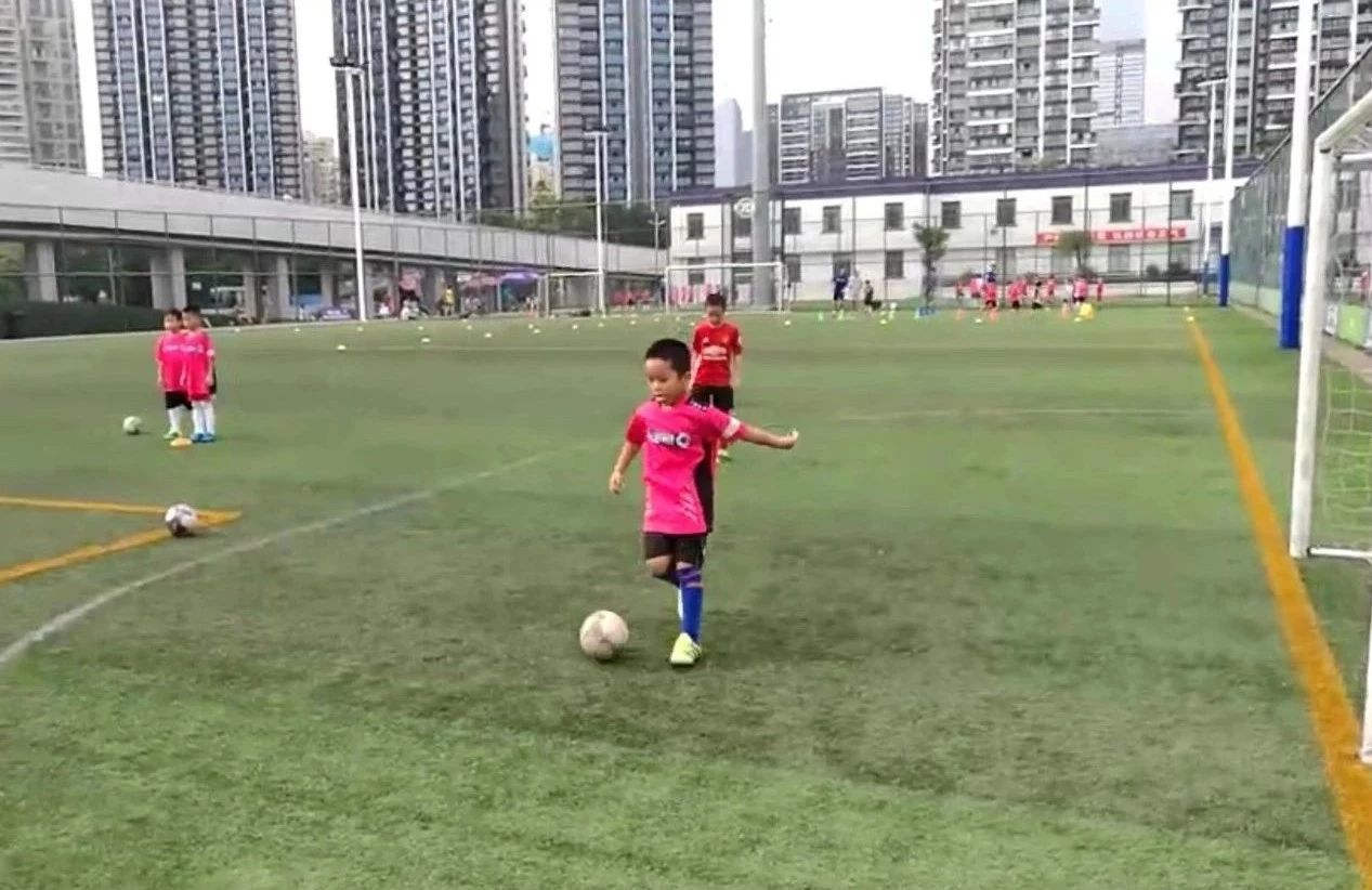 拼爹到底多可怕,拼爹究竟对不对