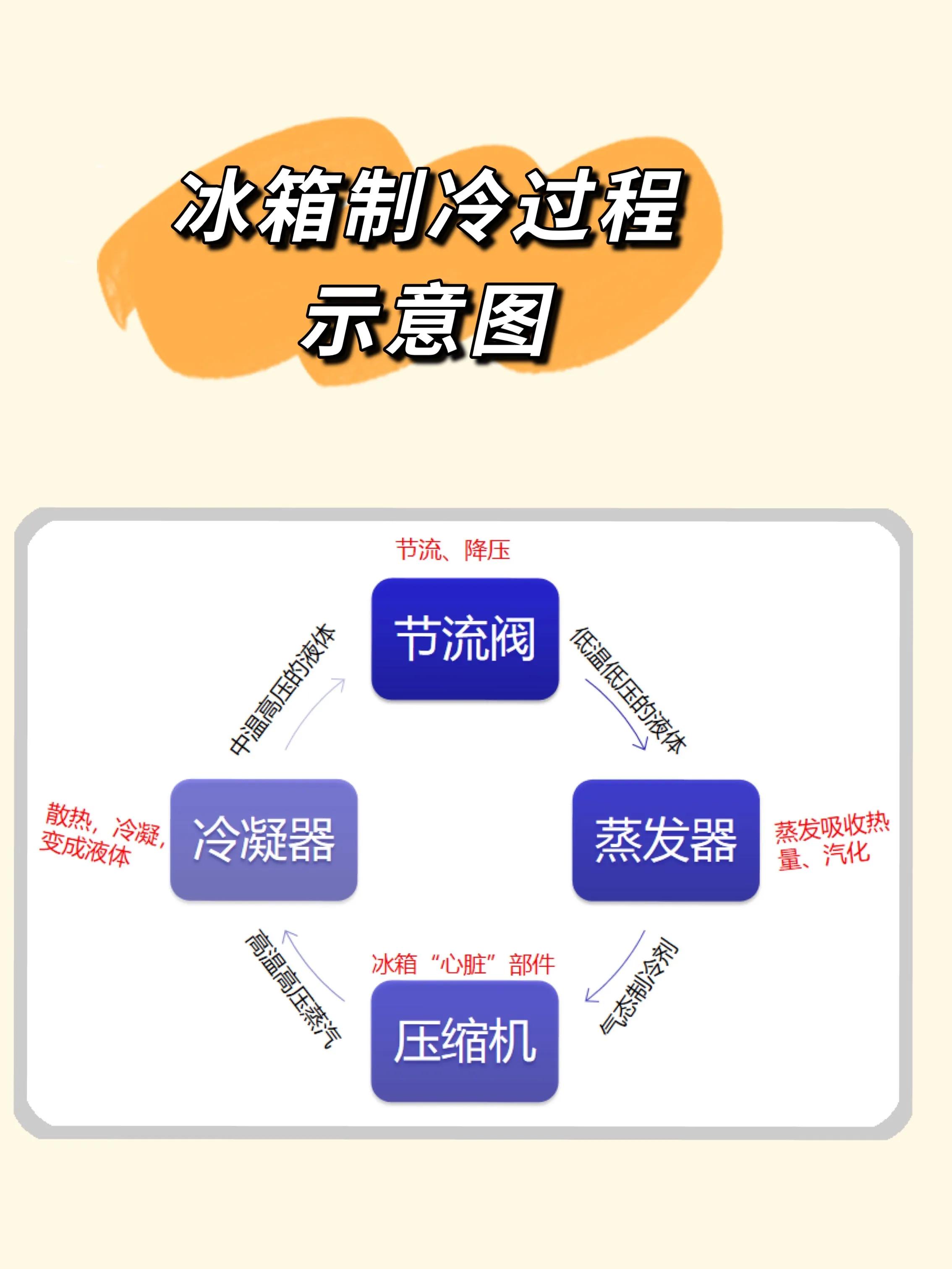 对开冰箱都是单循环吗,冰箱怎么选记住这8点不踩坑