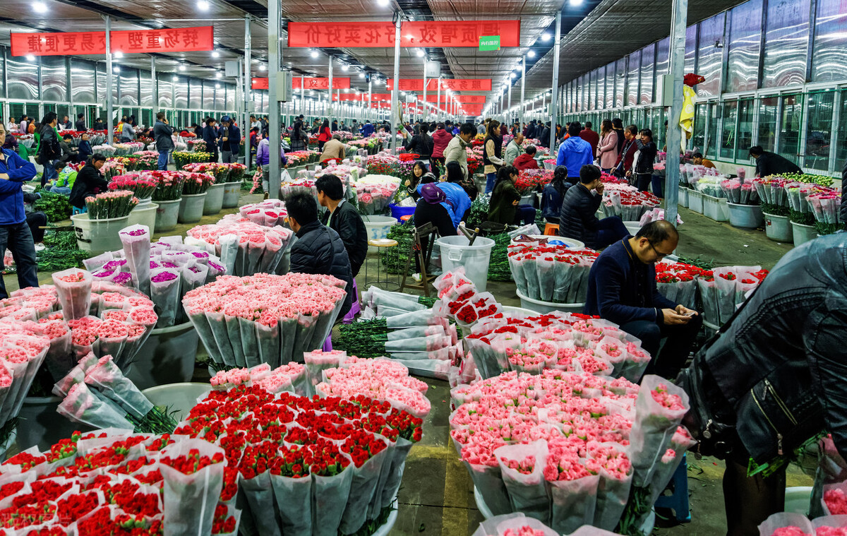 昆明市内游玩好去处 (云南昆明最值得玩的地方)