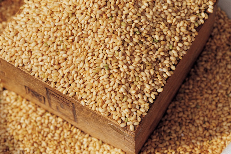 客家娘酒故事大全,客家娘酒民间传说