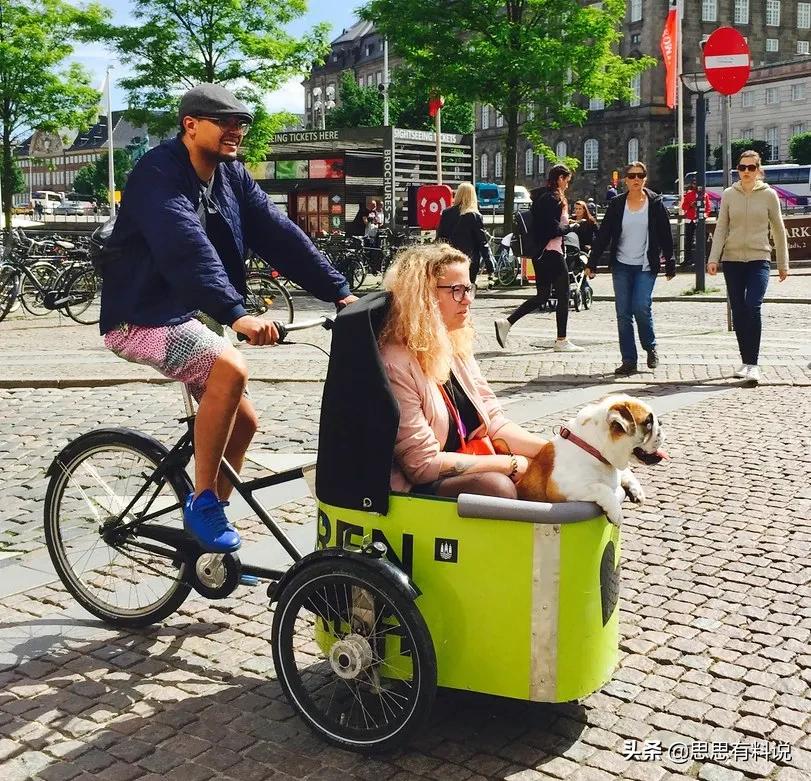 东北现在还有倒骑驴吗,东北倒骑驴是怎么回事