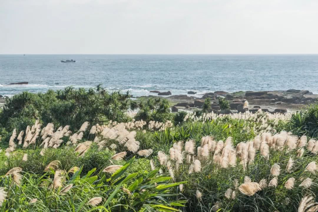 台湾音乐打卡地：从黑胶店到Livehouse