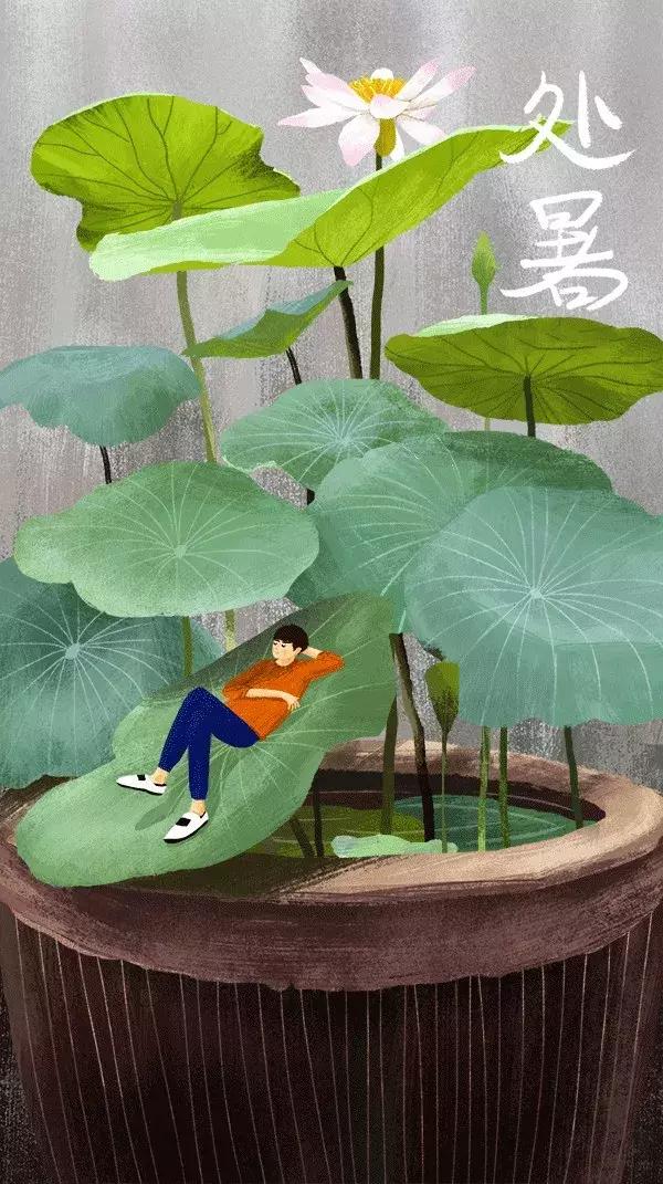 处暑来临时养生要注意,处暑养生这4个饮食要点必须牢记