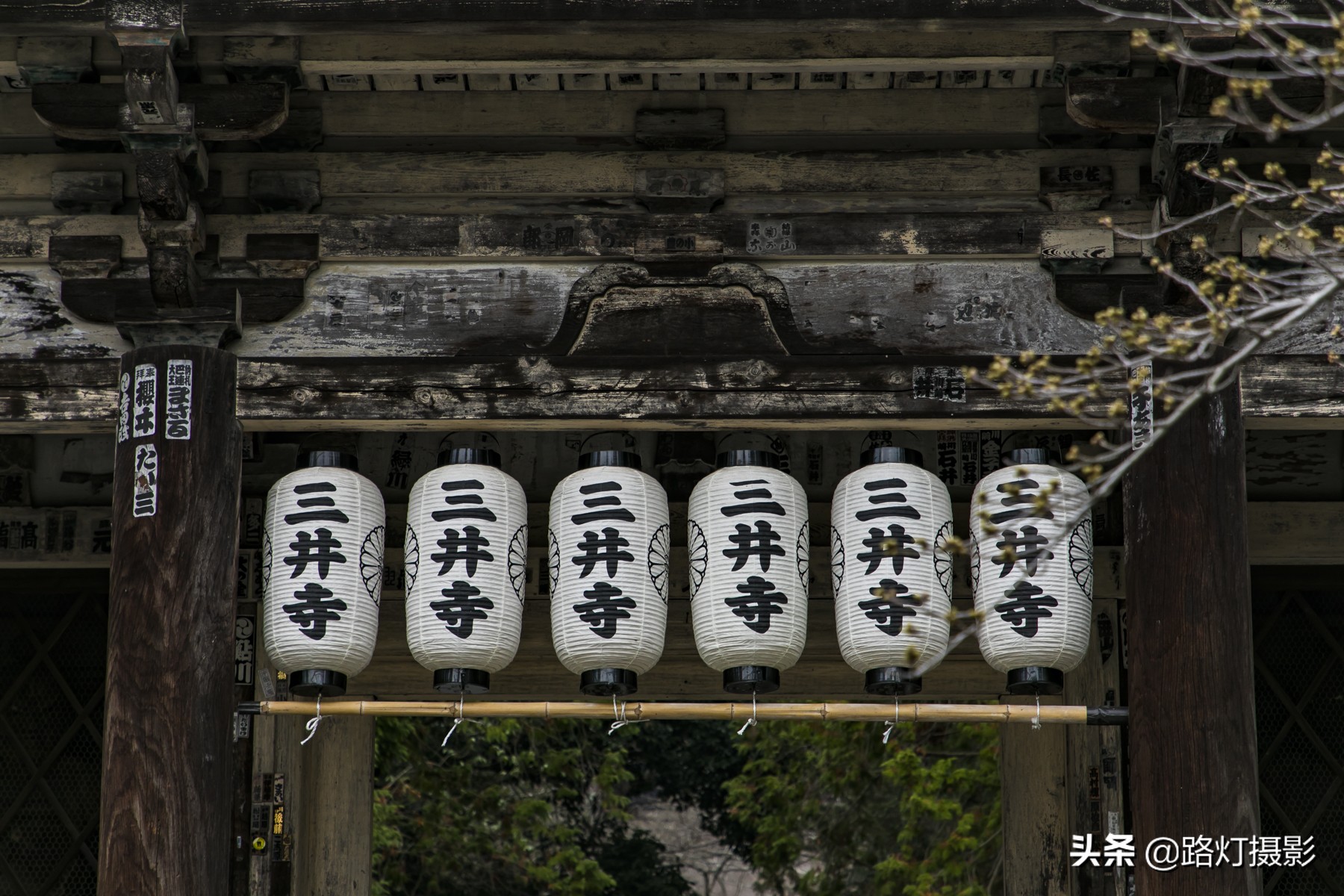 风俗习惯不一样的后果,去日本旅游的禁忌有哪些