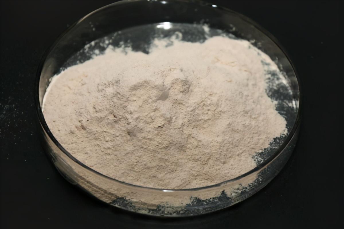 碱性蛋白酶水解蛋清,碱性蛋白酶分解后产物