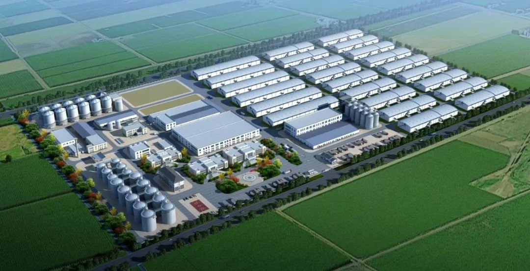 重新发现虞城之三：有一种民营企业叫科迪