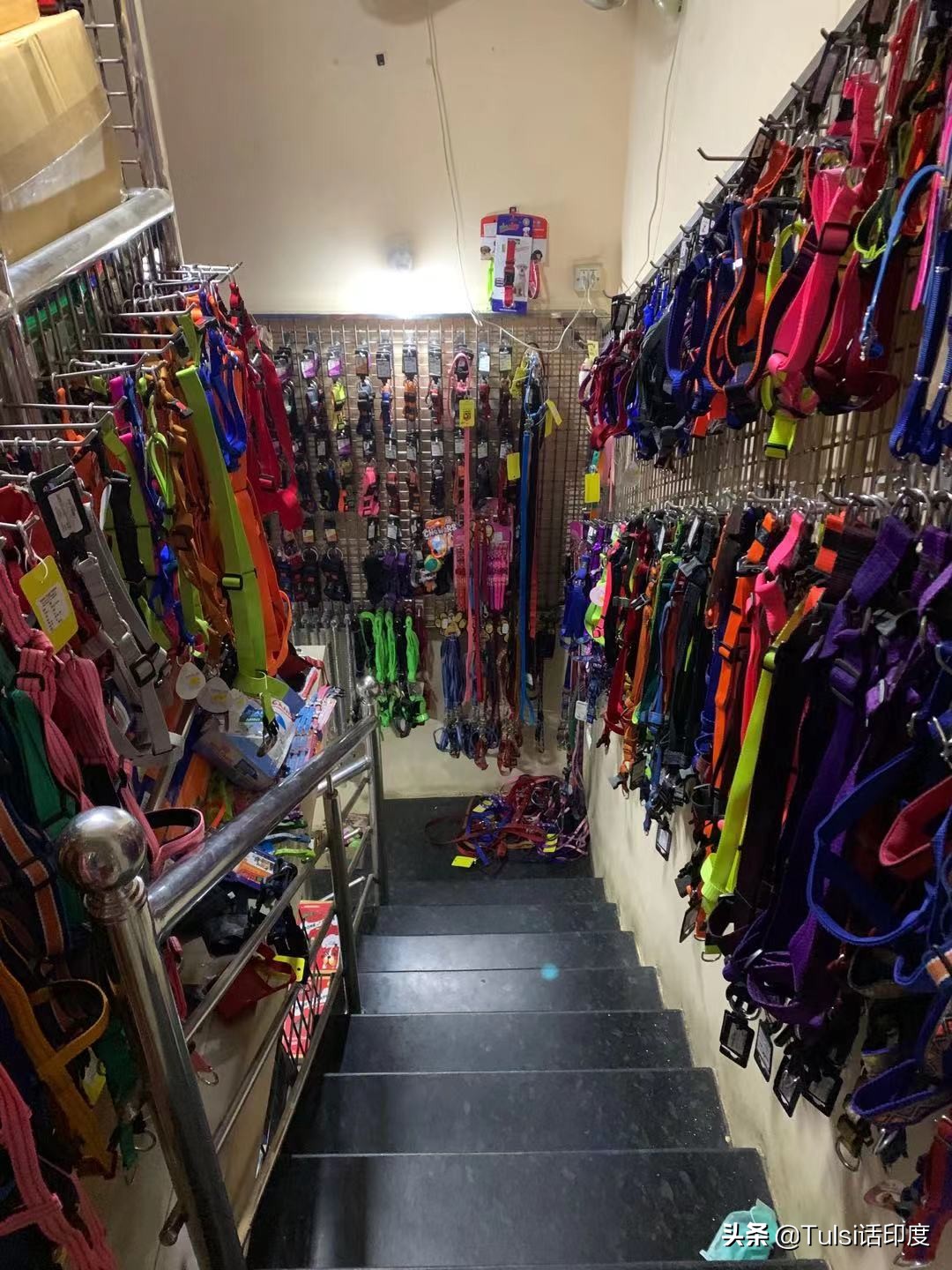 印度猫粮市场 (印度猫粮批发市场)