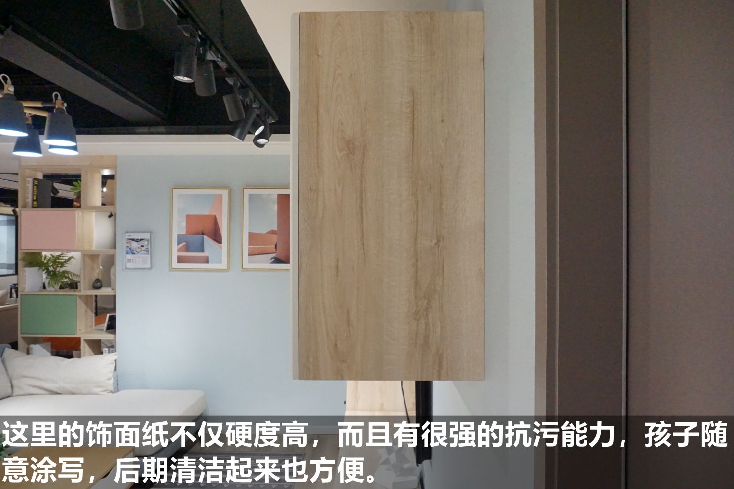 莱茵艾格定制家具,莱茵艾格全屋定制家具效果图