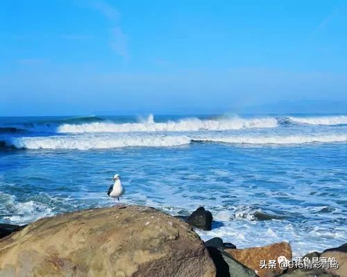 十年前青岛城阳工艺品厂,青岛草编工艺品工厂