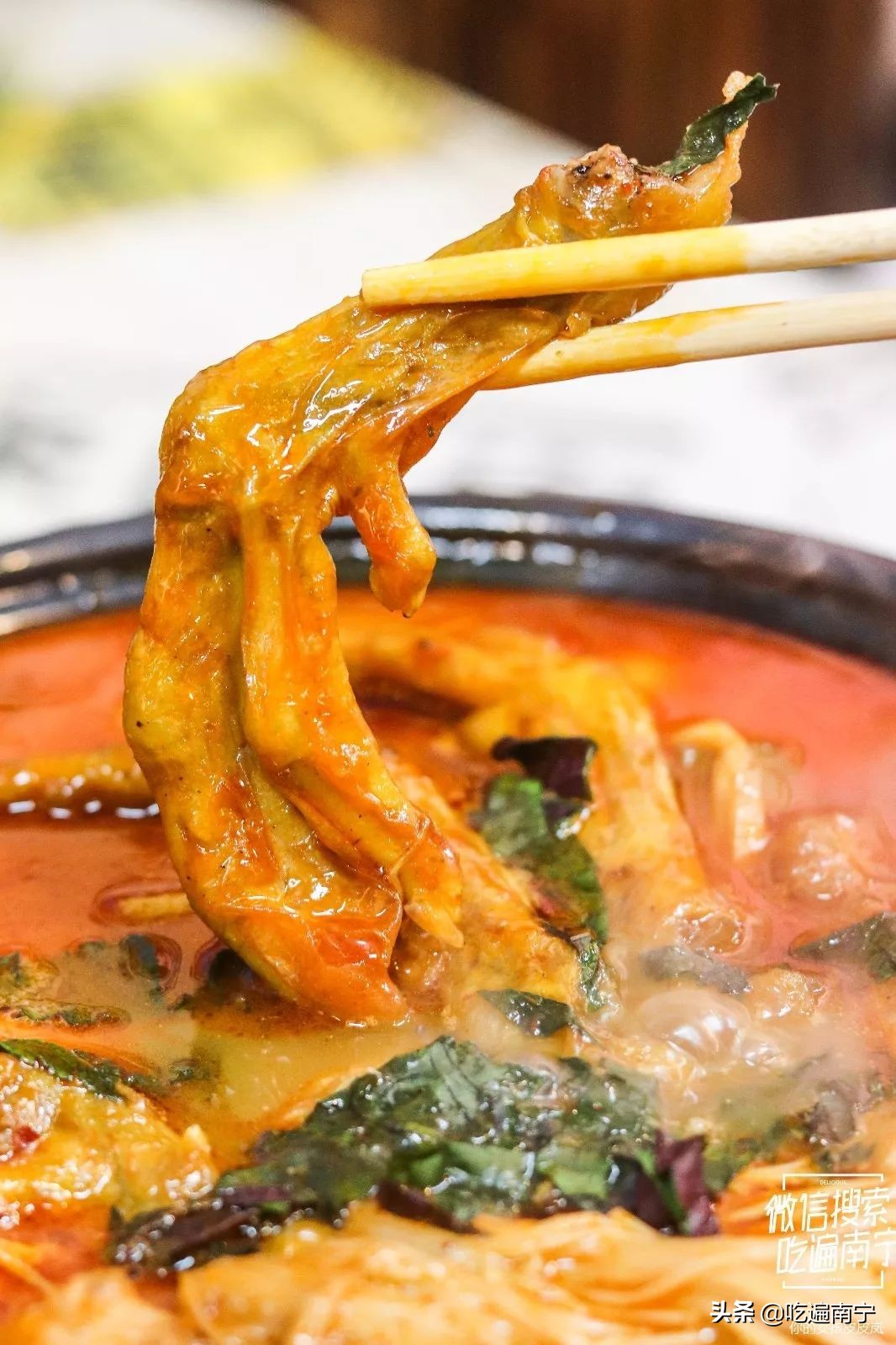 南宁田螺鸭脚煲小店推荐,南宁玉洞田螺鸭脚煲推荐