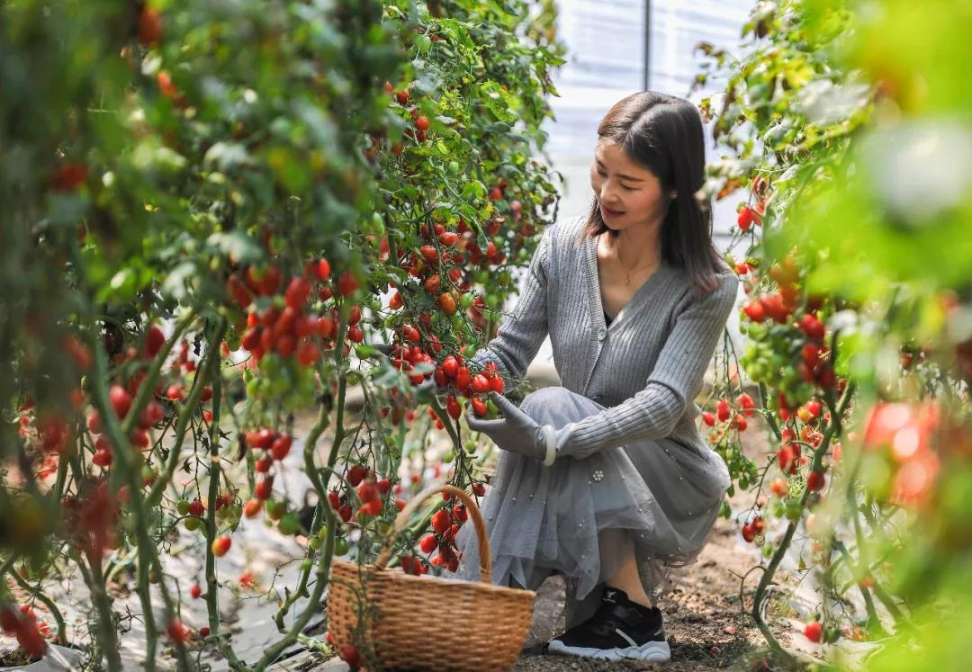 祥和庄园4月29日开园啦!向往的生活从这里开始