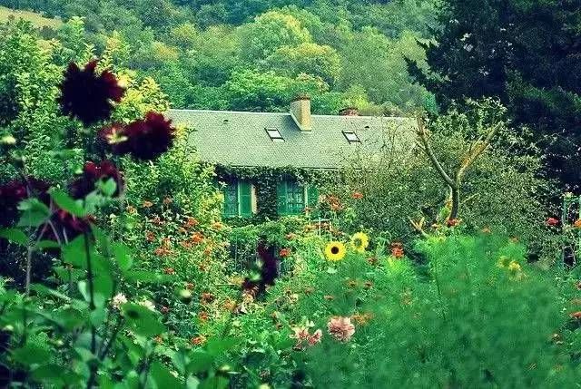 莫奈的画艺术解析,莫奈的艺术成就