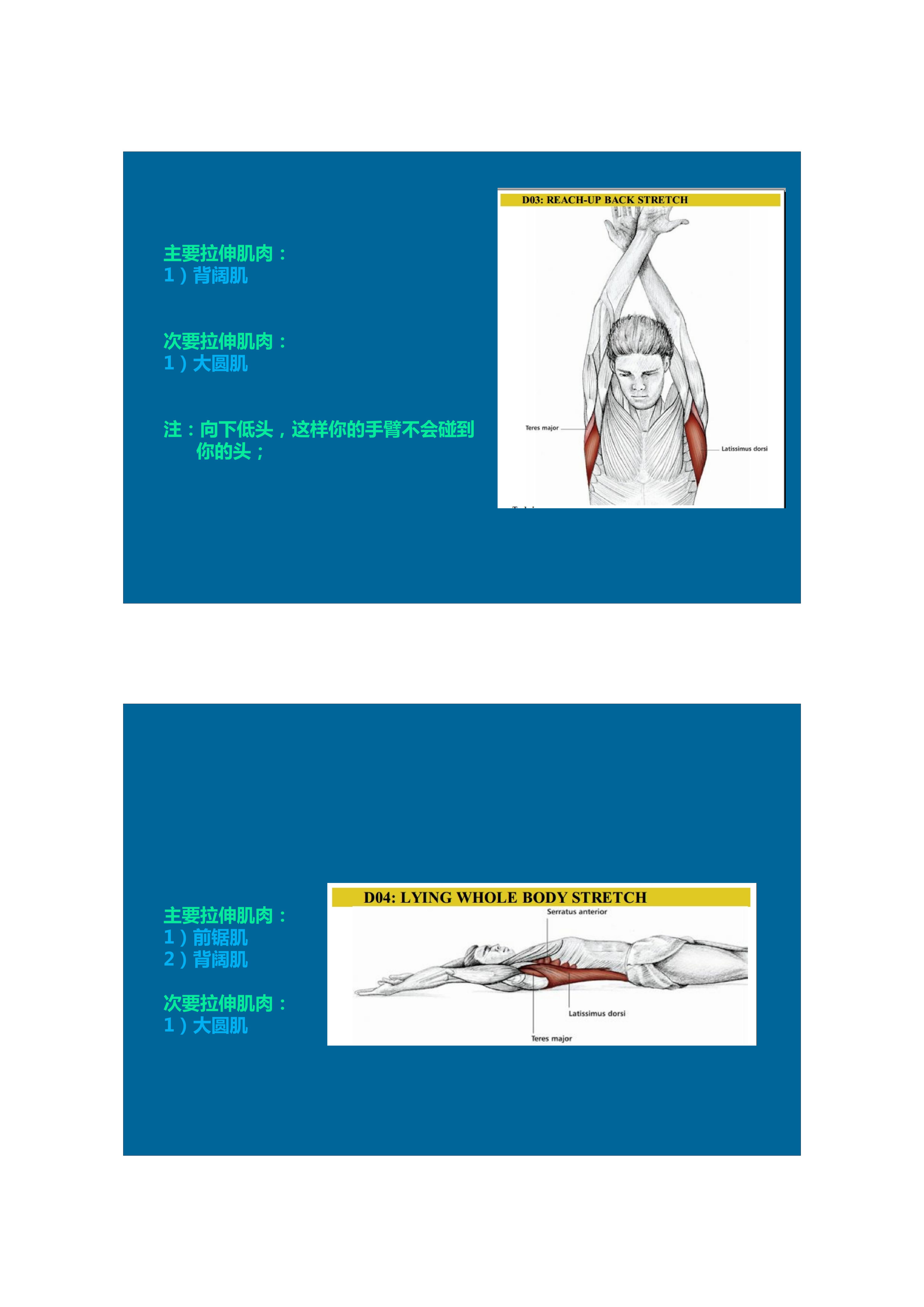 1分钟拉伸动作视频,拉伸腿部技巧
