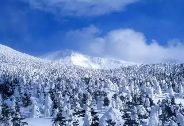 下半年旅行最佳时间表,2023最佳旅游时间表