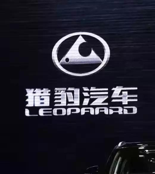 猎豹mattu坏了还能修吗,猎豹mattu跑着没劲