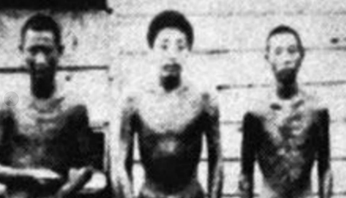 日本抓到的野人,日本野人被抓了吗