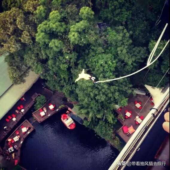 澳大利亚极致之旅,来澳大利亚必买