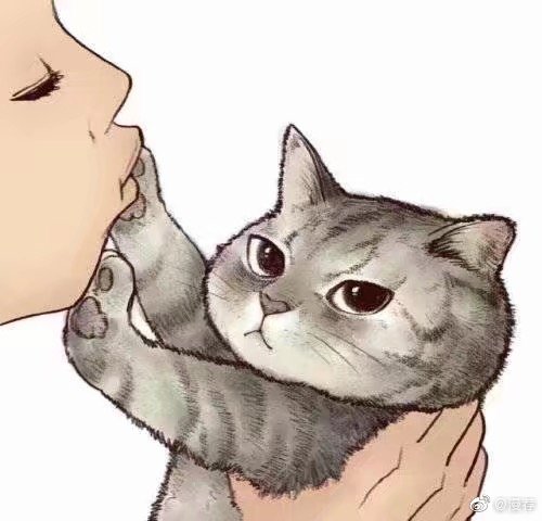 喵星人漫画推荐,绘画漫画喵星人