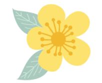 年夜饭新花样,年夜饭比较新颖的菜