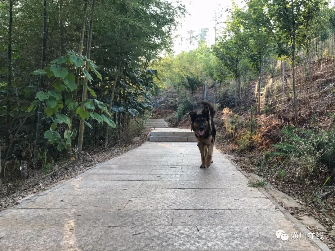 潢川双柳高山,潢川最高峰