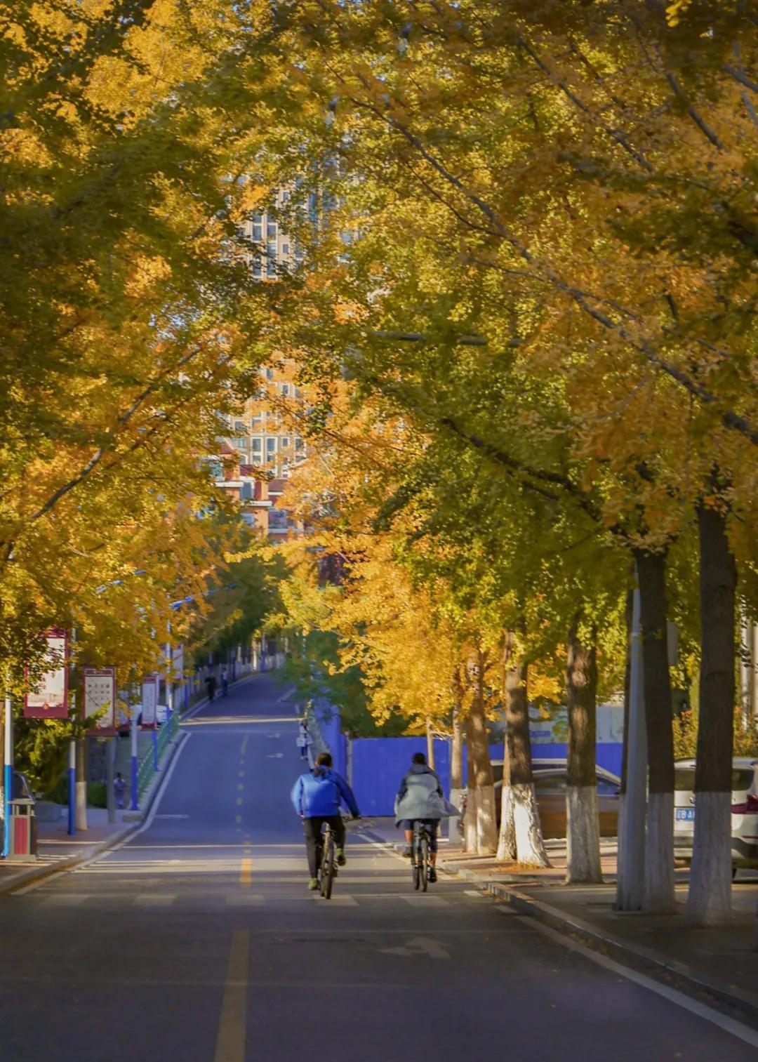 醉美大工秋|读书不觉已秋深，____________