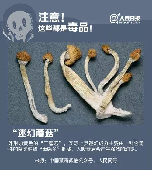 警方破获保健品案抓获多人,卖毒品99克被警察捉
