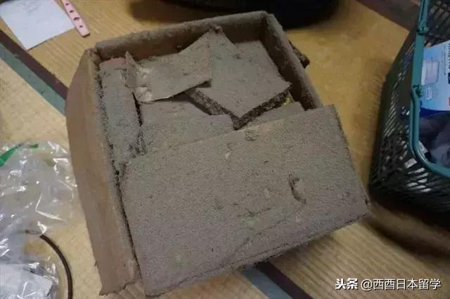 全亚洲最脏的宿舍,亚洲第一脏乱差的日本大学