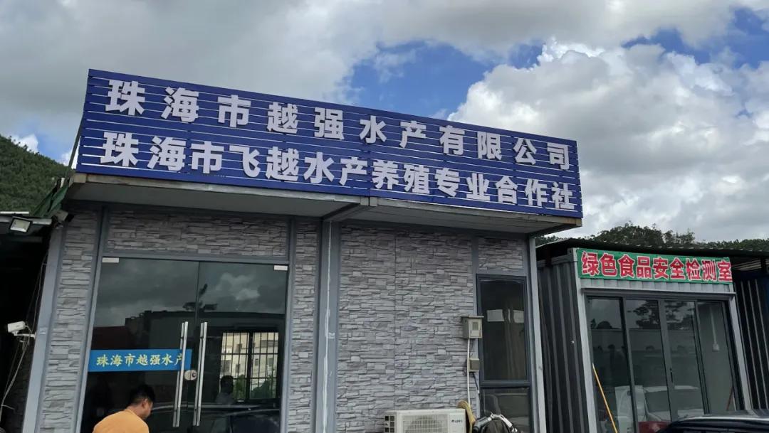 美味绽放，香飘神州|珠海粤越强海鲈产业发展之路