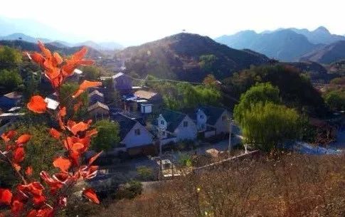 昌平最美的秋景在哪里,北京最美的秋景赏叶胜地香山公园