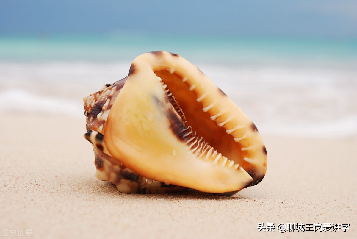 文化解读：“赢，羸，嬴”区别在哪？学习汉字，传递知识