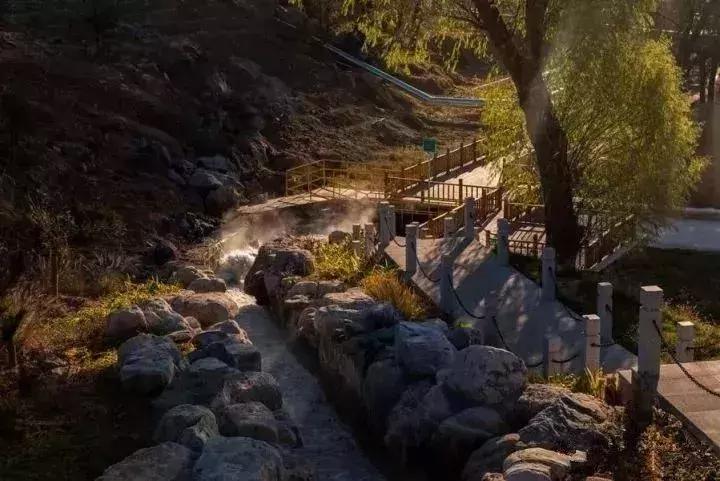 北京小众湿地公园免费,北京周边湿地公园