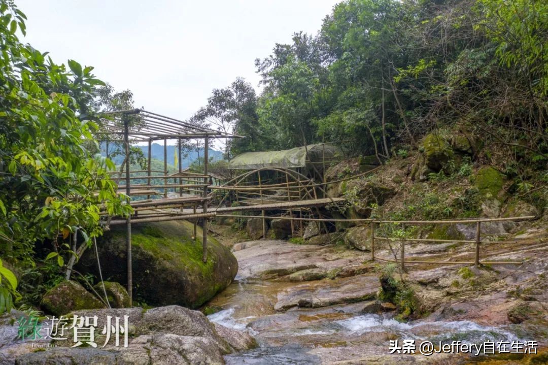 拍贺州｜莲塘镇大山深处的“一号基地”