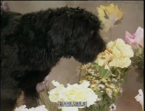 济公见到梁小冰,济公梁小冰想起自己