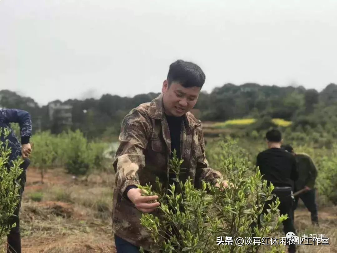 短短两年，荣华村挖掘地标品牌脱贫致富，乡村振兴并不遥远！