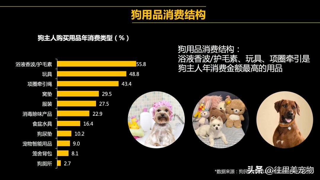 怎么给狗穿衣服不反抗,怎么做到给狗穿衣服