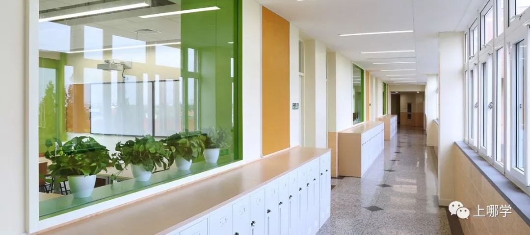 上海最好的十大民办初中,上海各区的顶级初中和一流初中