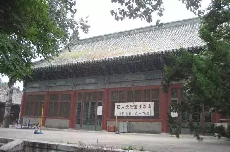 青苗夏令营活动,青苗夏令营