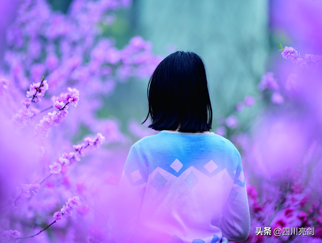 致敬无悔的青春,致敬无悔的青春完整版