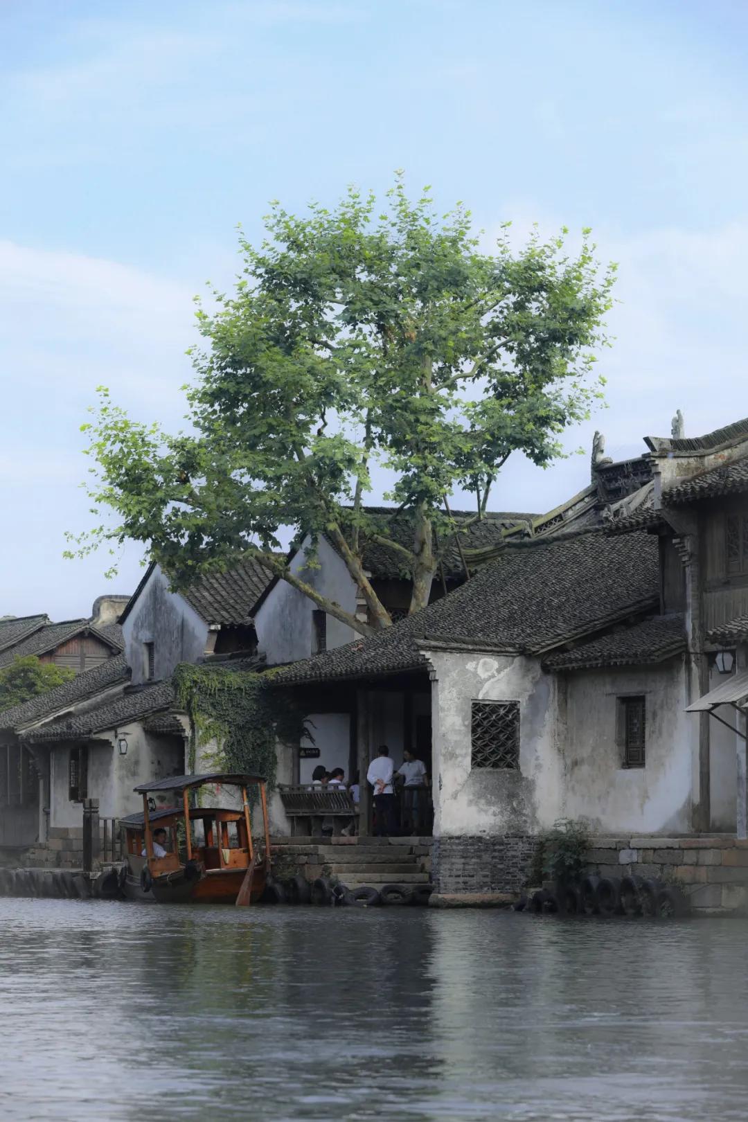 来到江南观美景,来江南感受一下文化气息