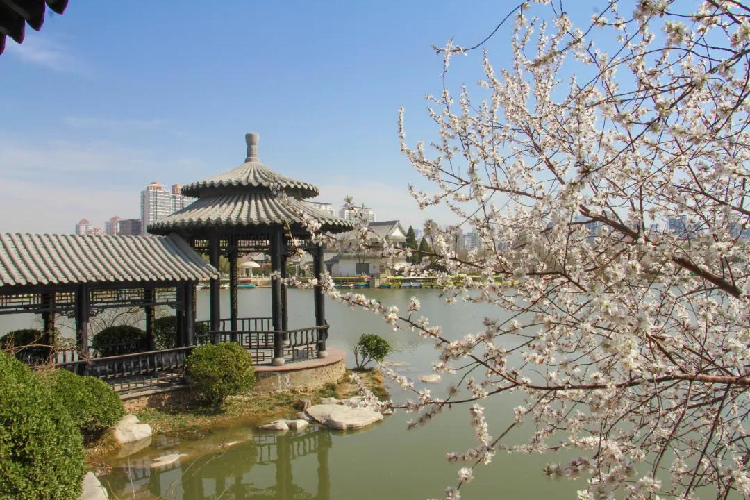 天津东疆港亲海公园今天开放吗,天津将新添一座公园预计开放时间