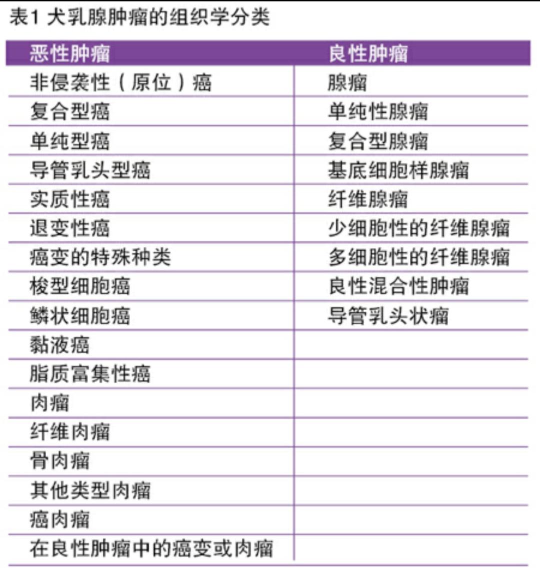 猫咪乳腺癌怎么预防扩散,猫猫乳腺肿瘤一定是恶性吗