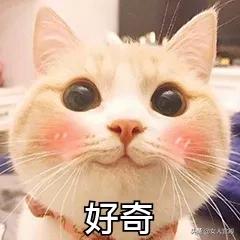 盆底肌松了该吃什么药,盆底肌松能练登山步吗