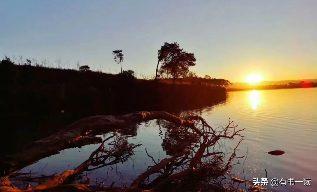 王国维人间词话最长的一篇诗词,王国维人间词话赏析十分钟