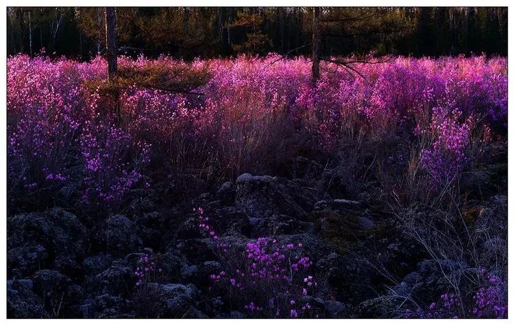 离俄罗斯只有一江之远,离黑龙江很近的俄罗斯城市