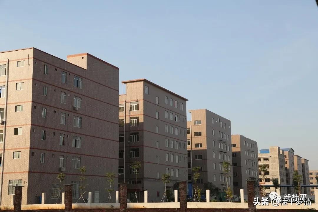 广西桂平木乐休闲运动服装,广西省桂平市木乐镇运动服饰