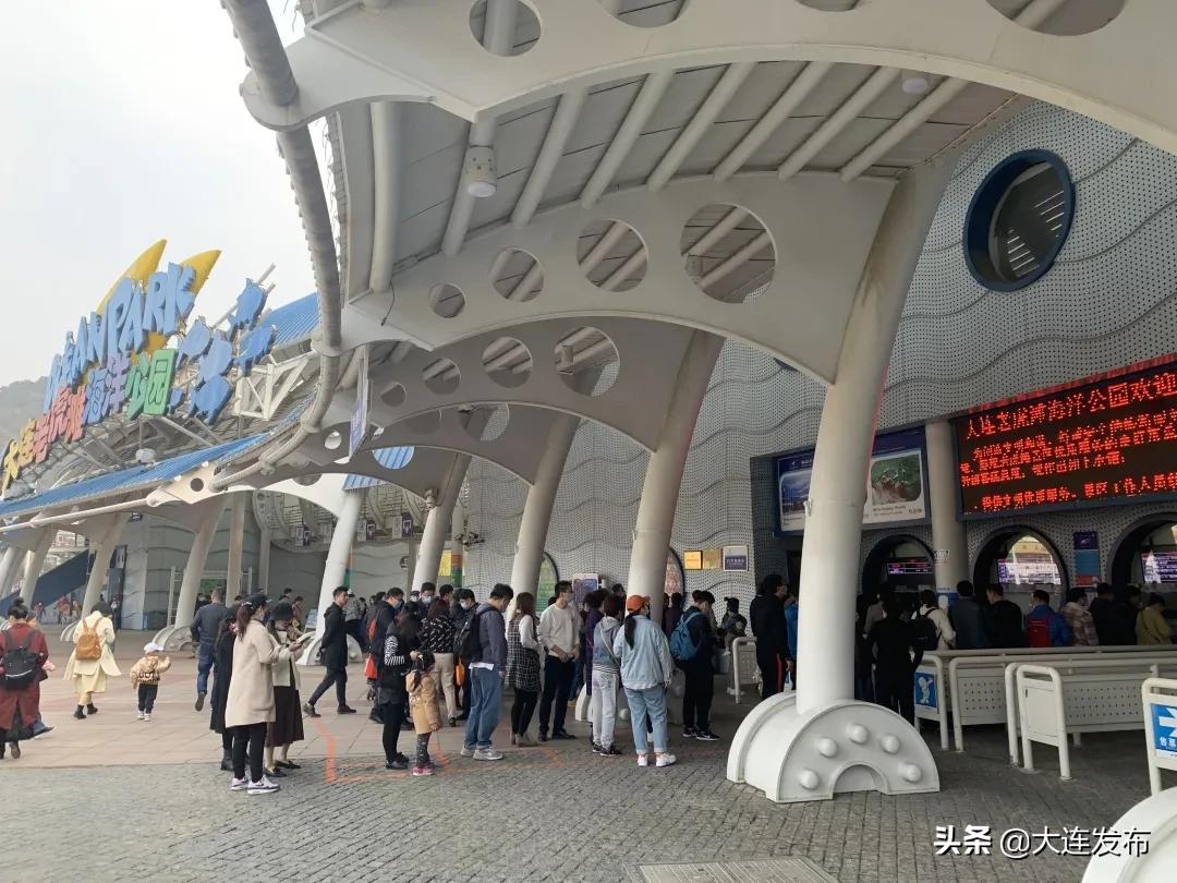 老虎滩旅游优惠,老虎滩61周岁门票优惠政策