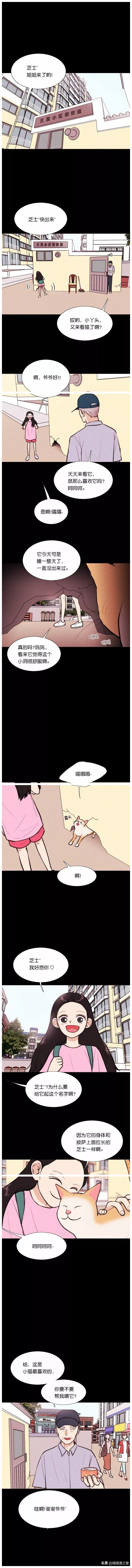 漫画《小猫》关于母性，不管是人类还是动物都是会有的