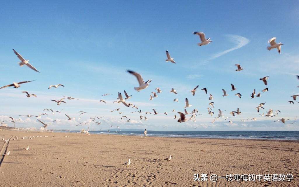 阳光温暖的早安英文句子,给你带来快乐!