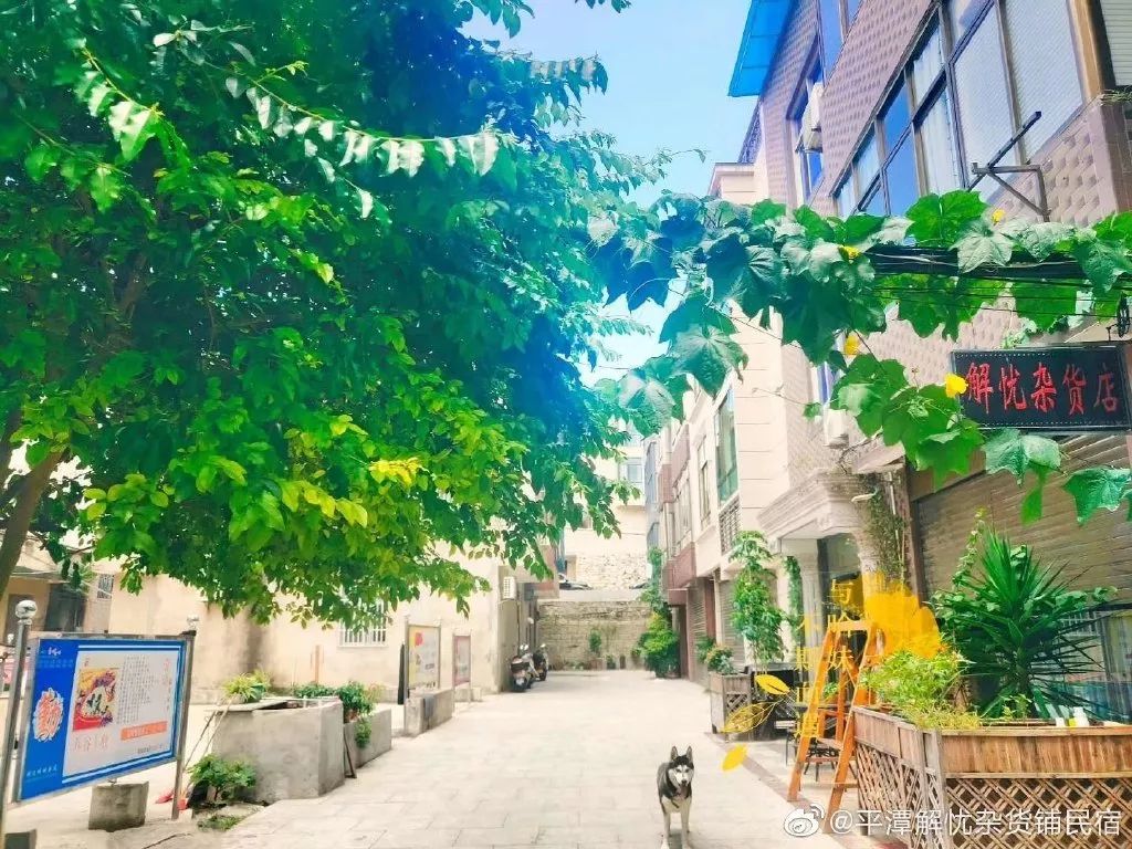 平潭即留下轻奢海景民宿多少钱,平潭有多少家民宿